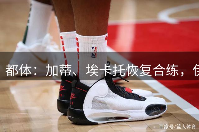都体：加蒂、埃卡托恢复合练，伊尔迪兹或保守治疗